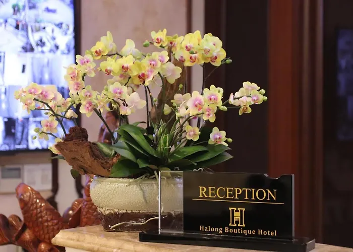 Khách sạn Boutique Hạ Long